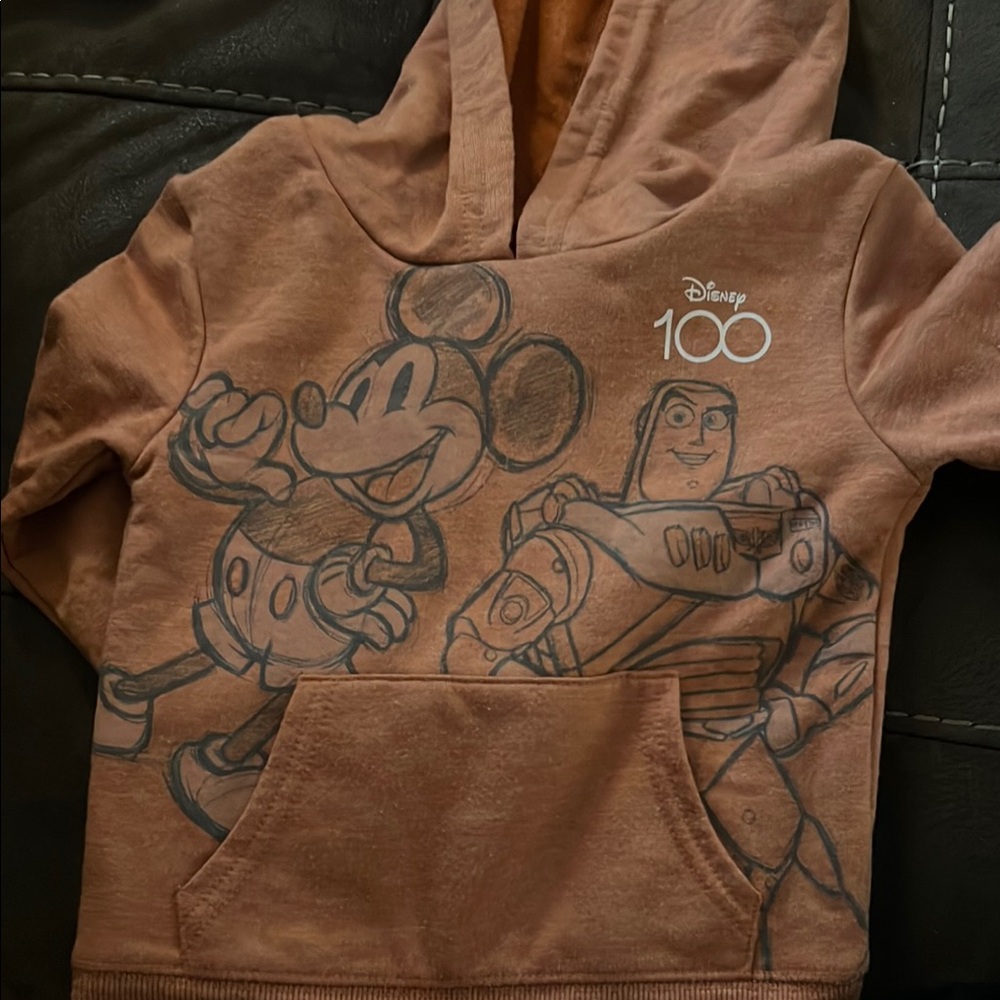 Disney Brown Mickey Mouse Hoodie Special Edition